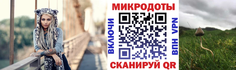 Галлюциногенные грибы Psilocybe  Называевск 